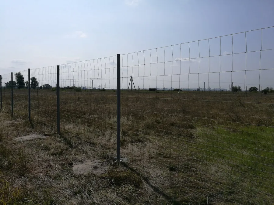 Сітка фермерська 150/15/15 · H-1,5 м (сітка для огорожі) — фото