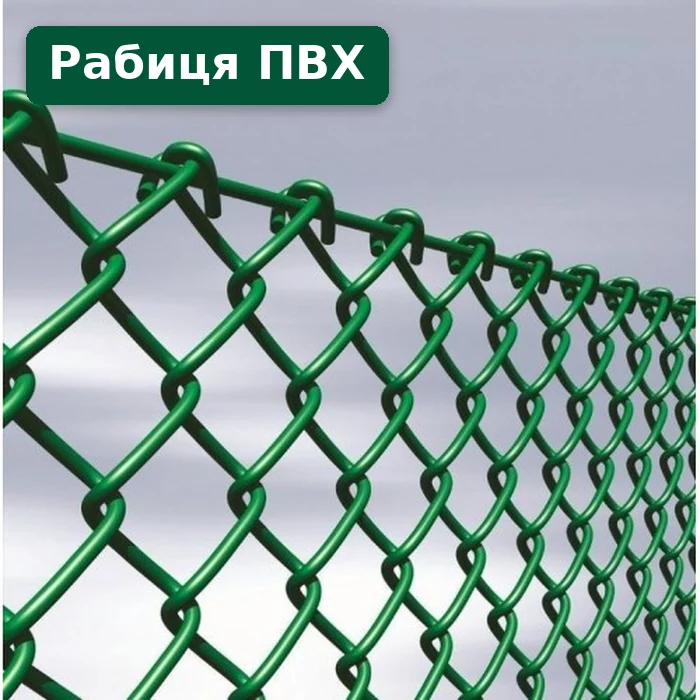 Сітка-рабиця — фото 2