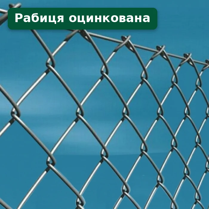 Сітка та рабиця — Одеса